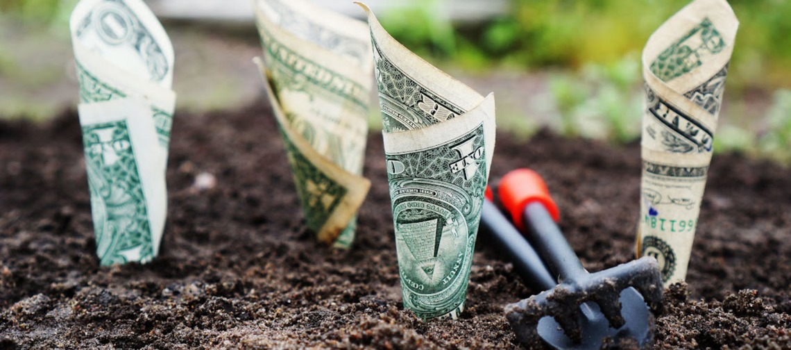 dollar bills rolled and stuck in potting soil made to look like it's growing